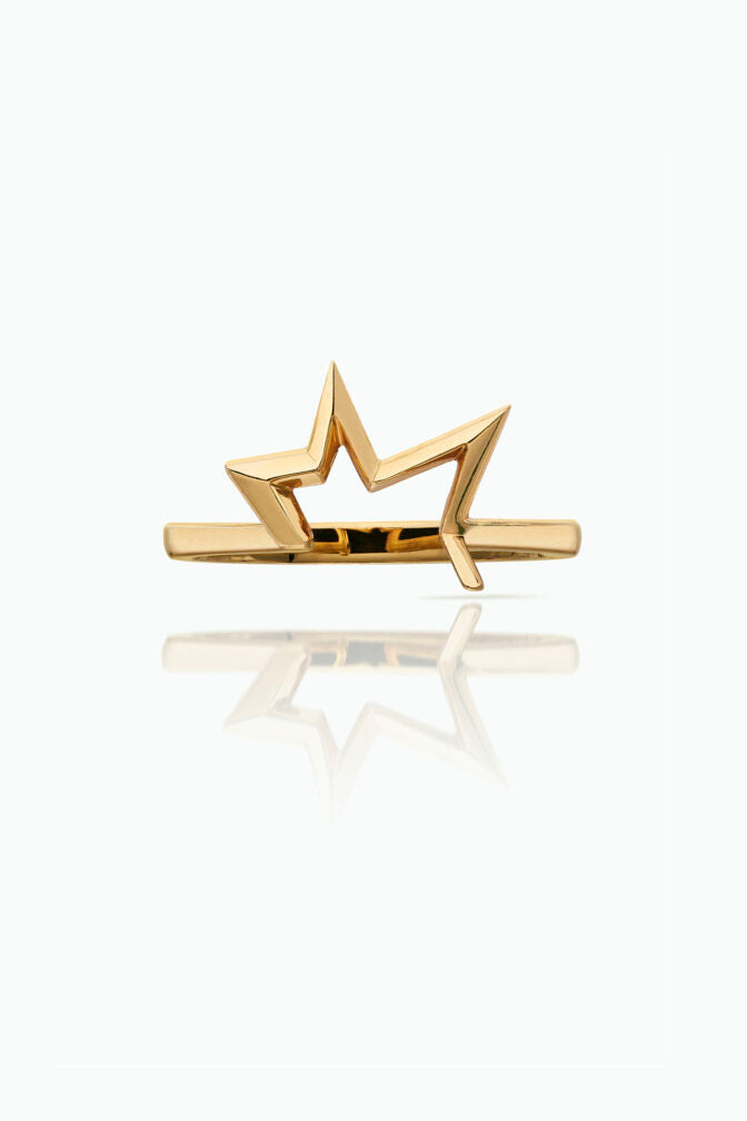 Bombette Morganite Ring & Titanium Salute Ring - Boutee