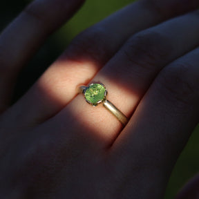 Apple Ring