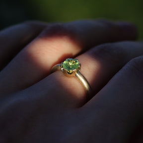 Apple Ring