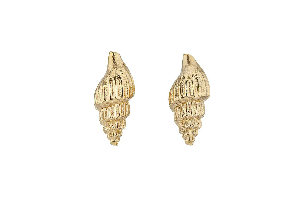 Dog whelk stud earrings - Boutee