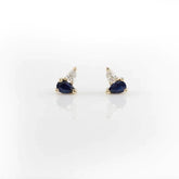Sapphire and Diamond Earrings - Boutee