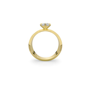 Apox Ring