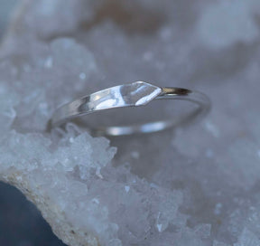 Snake Ring, Ouroboros - Boutee