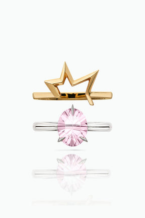 Bombette Morganite Ring & Titanium Salute Ring - Boutee