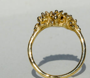 Diamond Three Stone Engagament Ring - Boutee