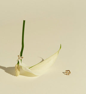 Hayden Earrings - Boutee
